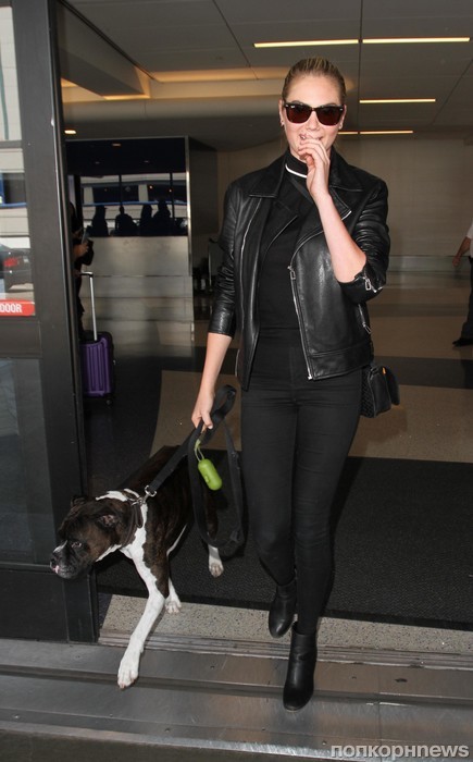 Кейт Аптон со своей собакой в аэропорту Лос-Анджелеса