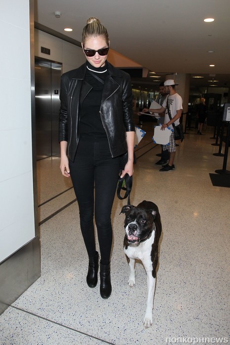 Кейт Аптон со своей собакой в аэропорту Лос-Анджелеса