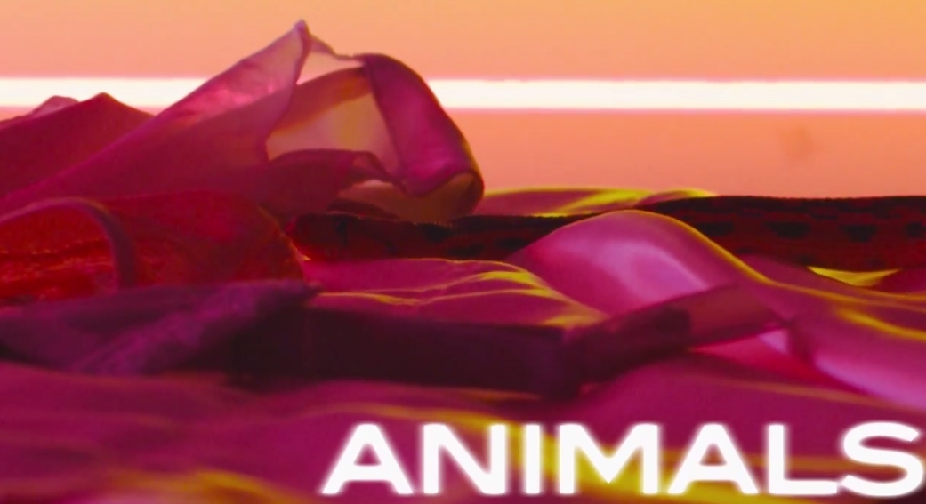 Видео с текстом песни Maroon 5 - Animals