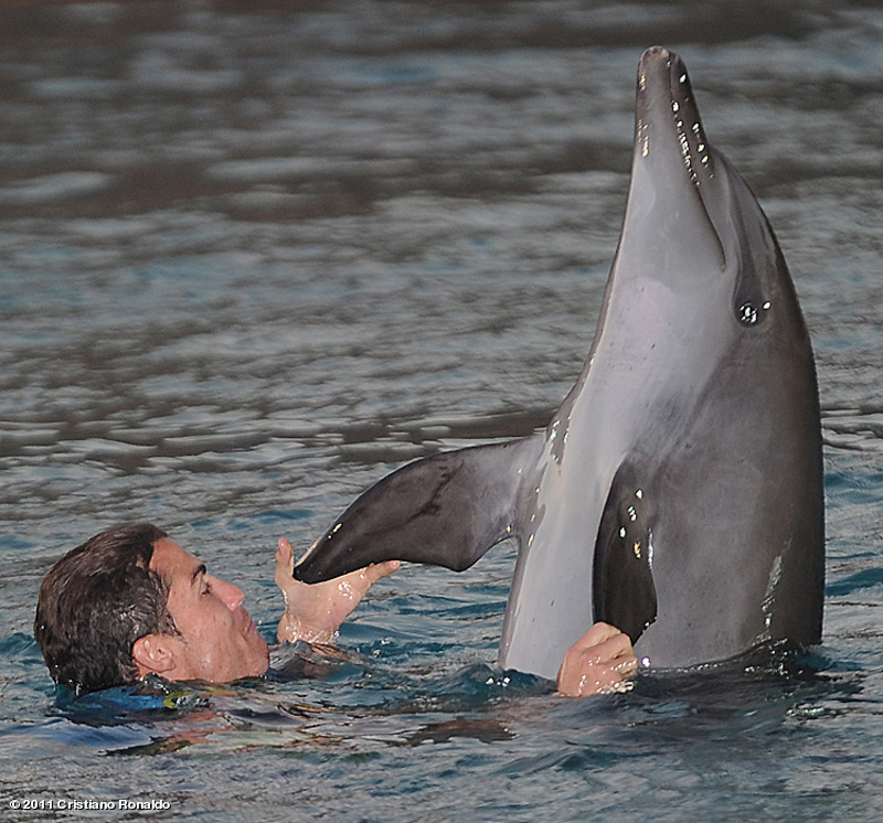 Криштиану Роналду встретился с дельфинами вместо фанатов