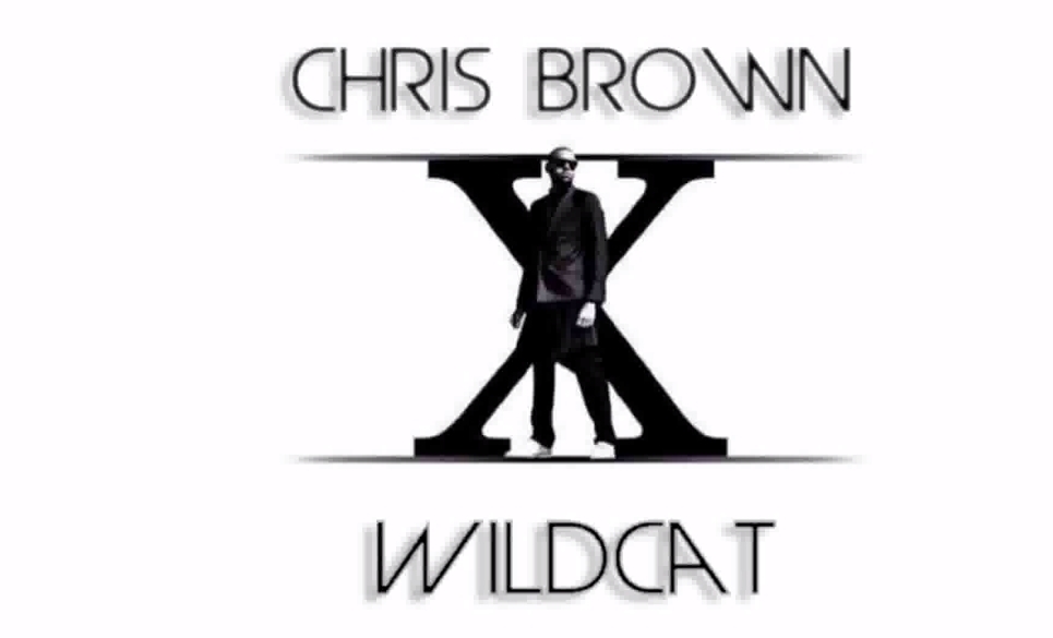 Новая песня Криса Брауна - Wildcat