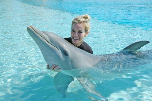 Хилари Дафф плавает с дельфинами