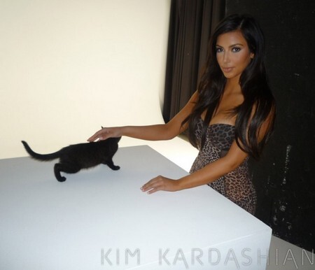 Ким Кардашиан и кошка