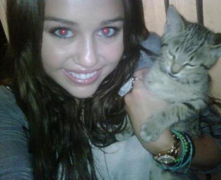 Маленькая фанатка Майли Сайрус грозит убить своего котенка, если та не вернется на Twitter
