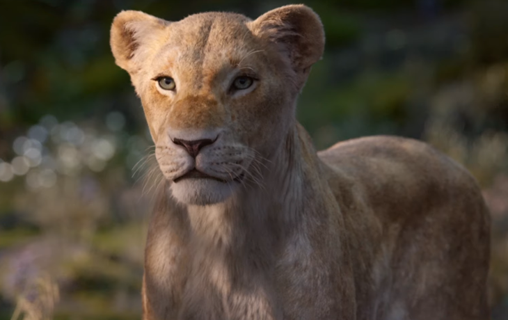 «Всем сохранять спокойствие!»: Бейонсе поделилась новым трейлером «Короля льва»