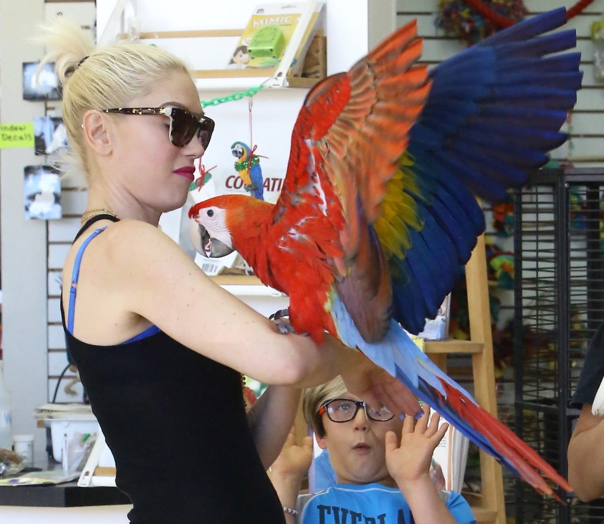 Гвен Стефани купила детям попугая