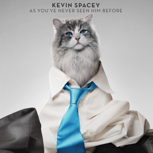 Кевин Спейси перевоплотился в кота: новый трейлер фильма «Девять жизней»