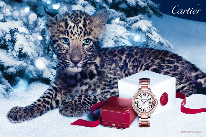 Рождественская рекламная кампания Cartier «Зимние сказки» 2012
