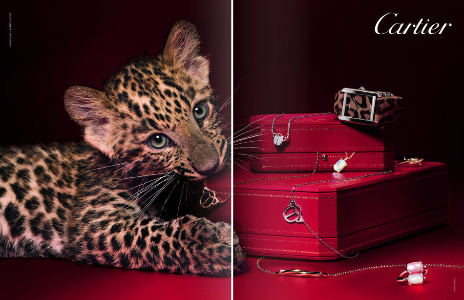 Рекламная кампании ювелирных украшений Cartier
