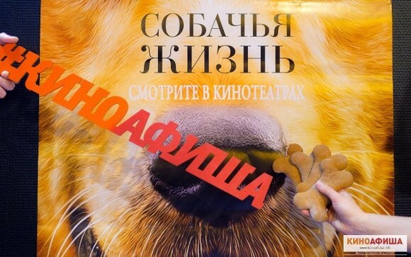 «Киноафиша» провела пресс-показ фильма «Собачья жизнь» в Санкт-Петербурге