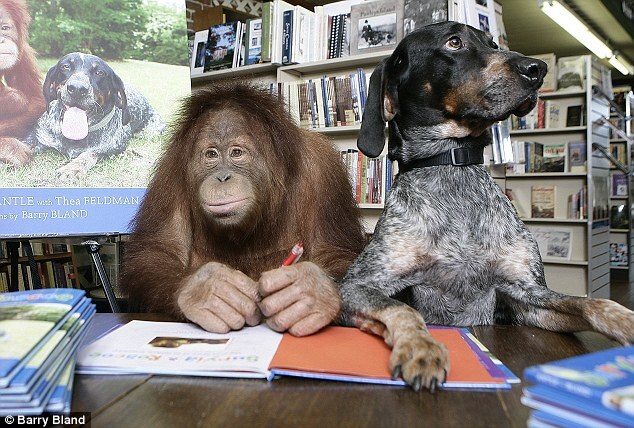 Самые лучшие друзья: орангутанг Сирия и собака Роско
