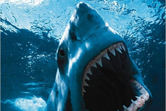 «Ночь акулы» в 3D от создателя «Пункта назначения»