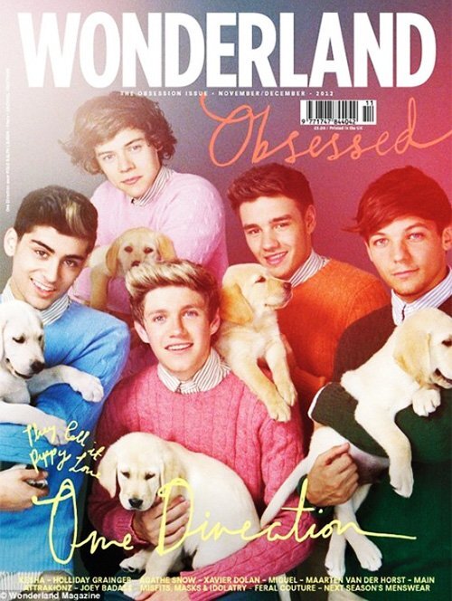 One Direction в журнале Wonderland. Ноябрь / декабрь 2012
