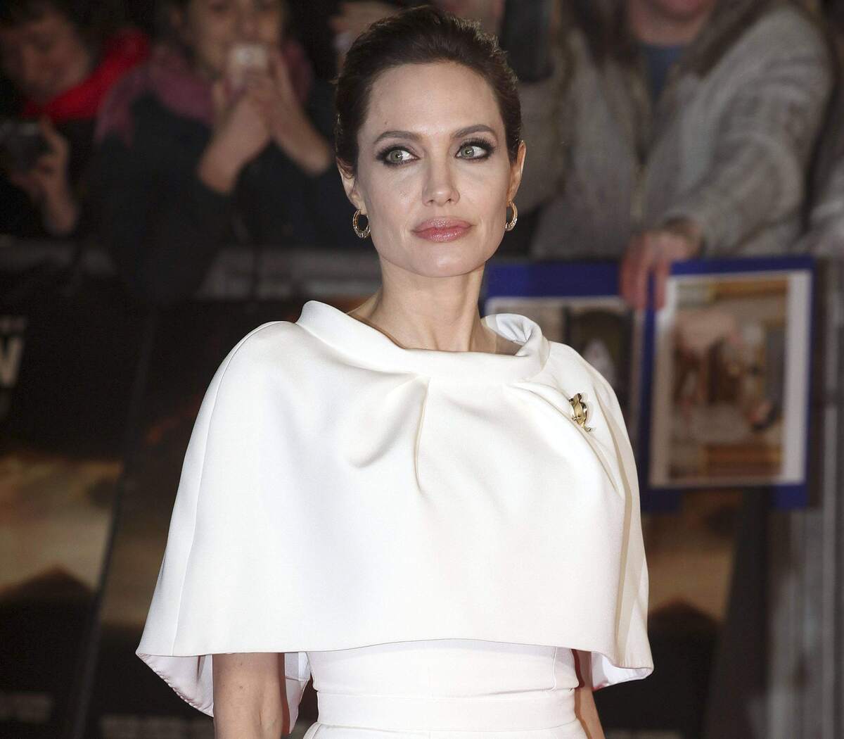 Анджелина Джоли намерена сделать карьеру в политике