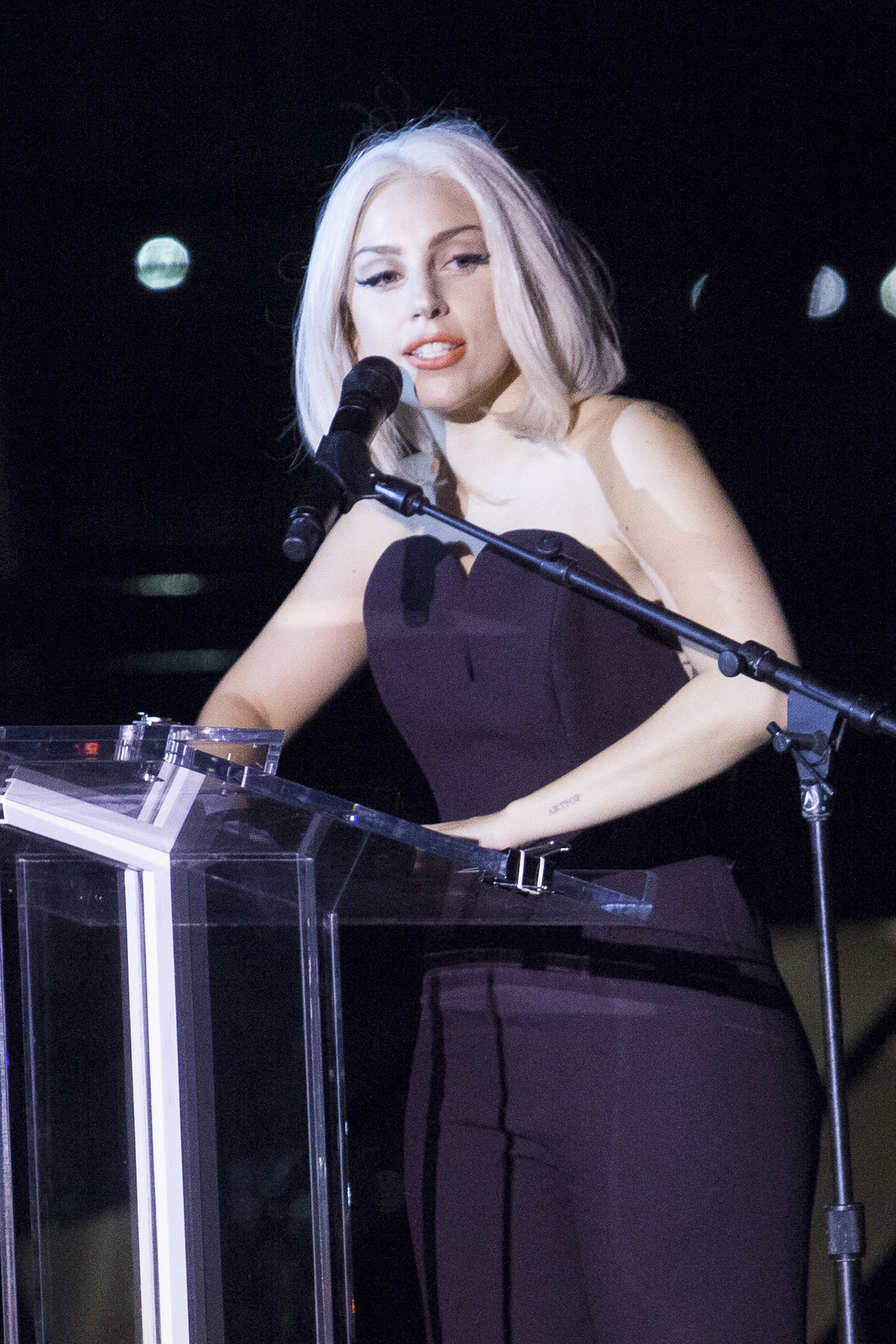 Lady GaGa изменила форму носа и подбородка