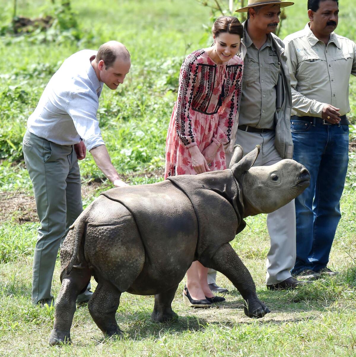 Принц Уильям и Кейт Миддлтон покормили слонов и носорогов в Индии
