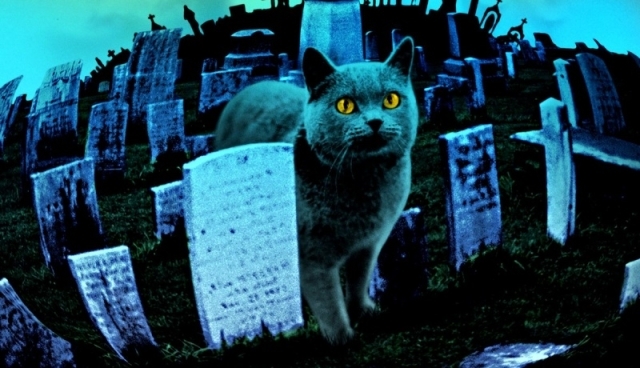 Режиссер «Пираний 3D» экранизирует «Кладбище домашних животных»