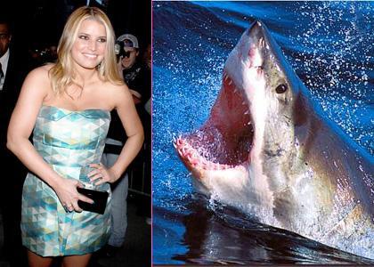 Джессика Симпсон боится акул