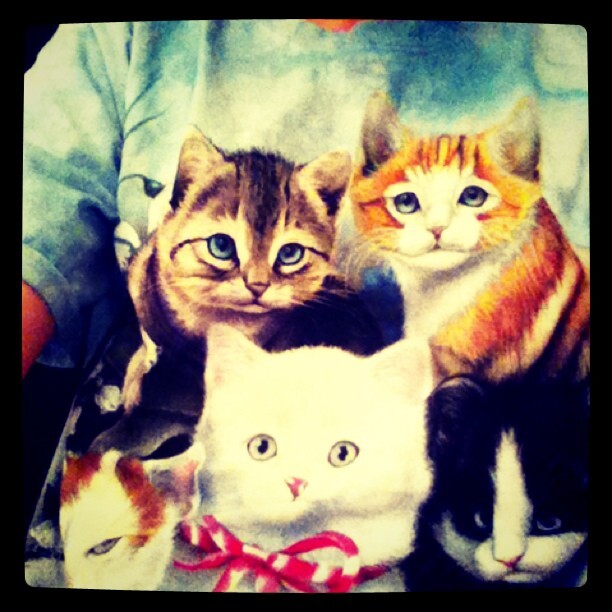 Тэйлор Свифт надела очередную футболку с кошками