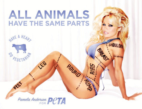 Реклама PETA с Памелой Андерсон слишком сексуальна для Канады