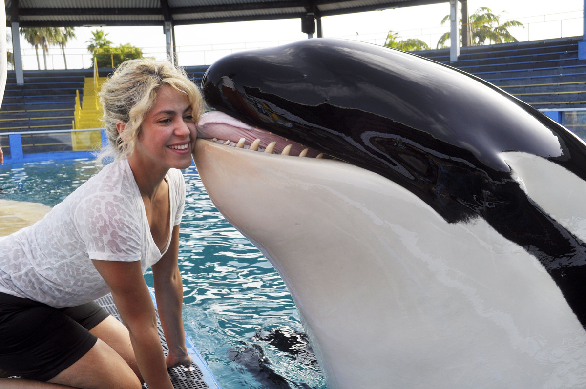 Шакира и Пике провели время в океанариуме