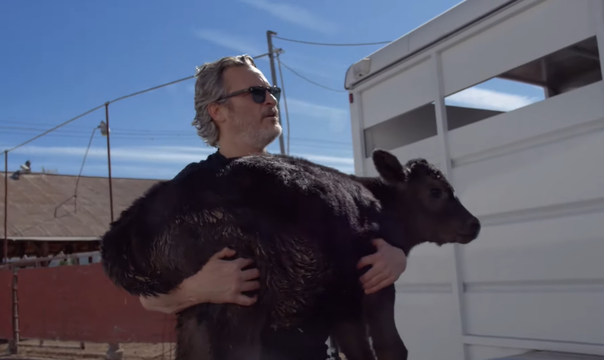 Видео: Хоакин Феникс спас корову с теленком со скотобойни в Лос-Анджелесе
