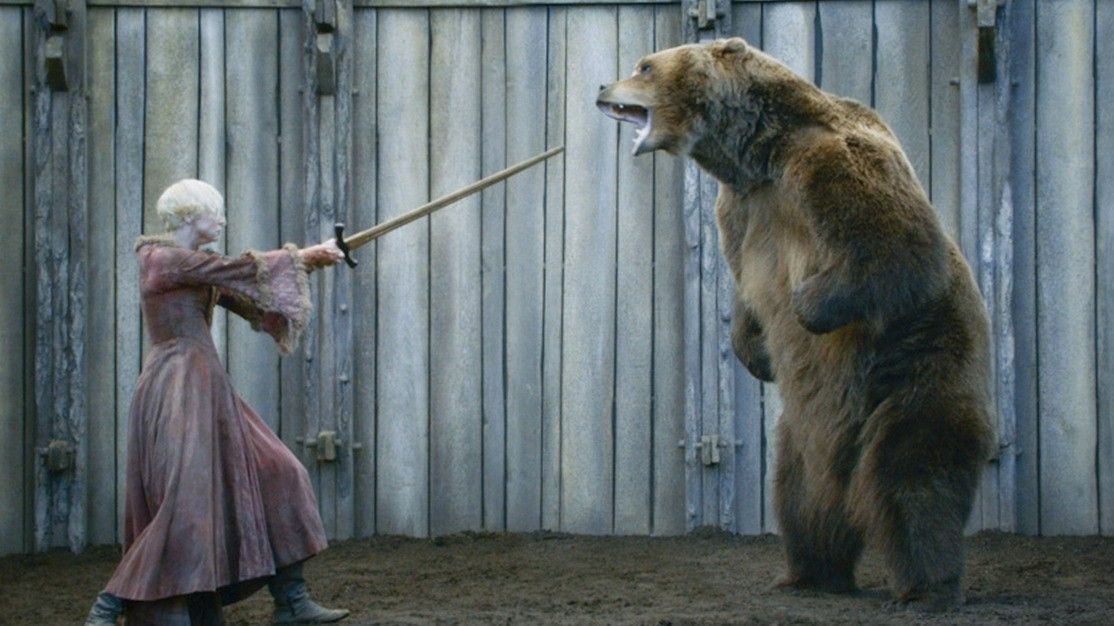 Как медведь из «Игры престолов» спасал природу, снимаясь в кино
