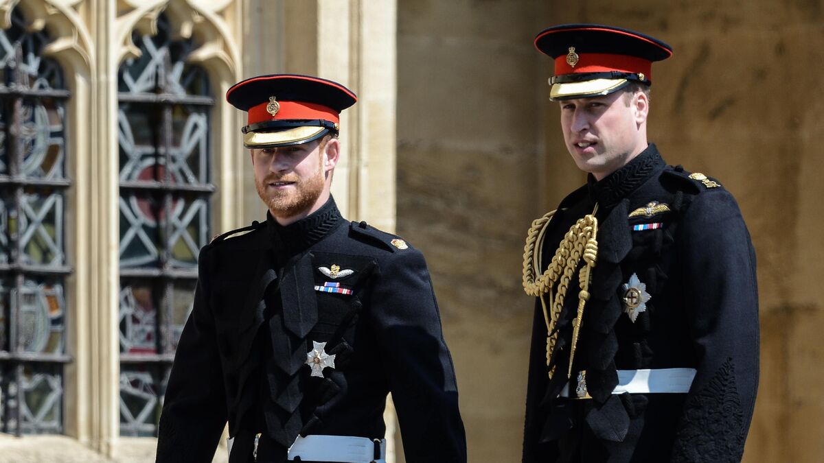 Подозрительное совпадение: почему принц Гарри не увиделся с принцем Уильямом 