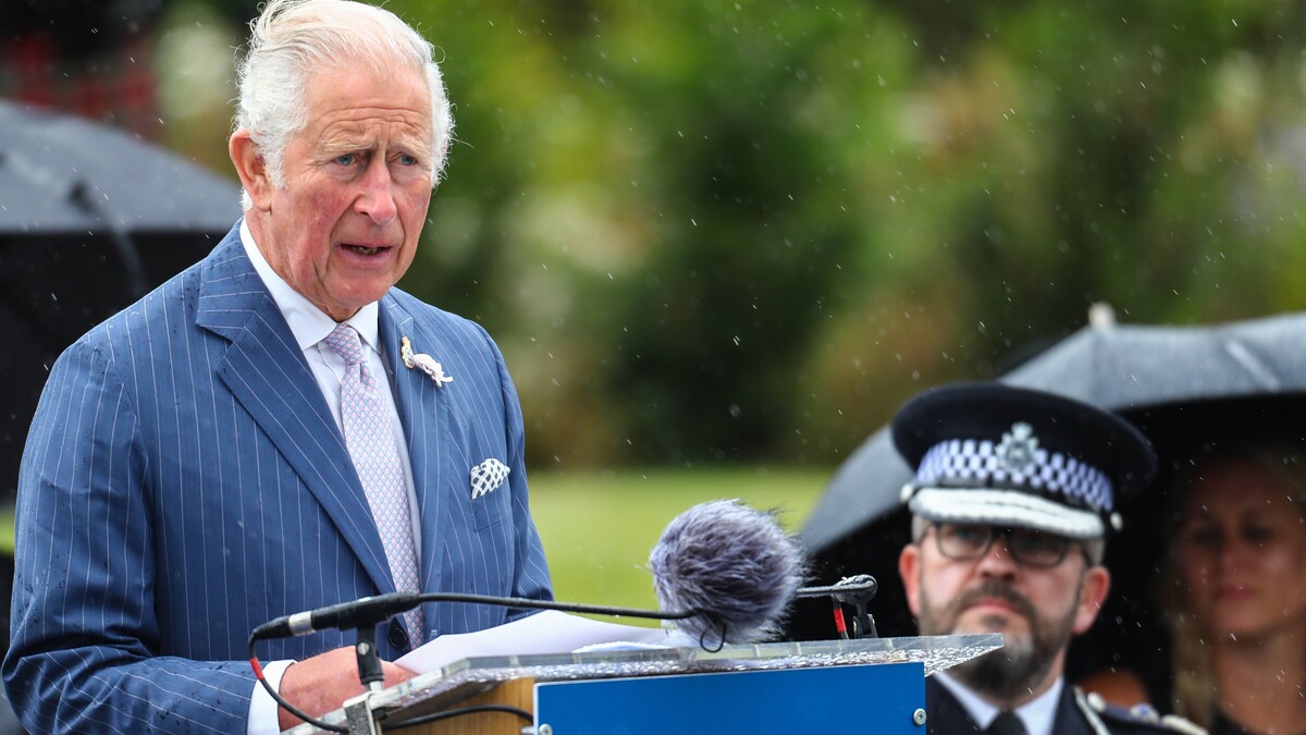 «Все это просто возмутительно»: брат довел принца Чарльза до белого каления