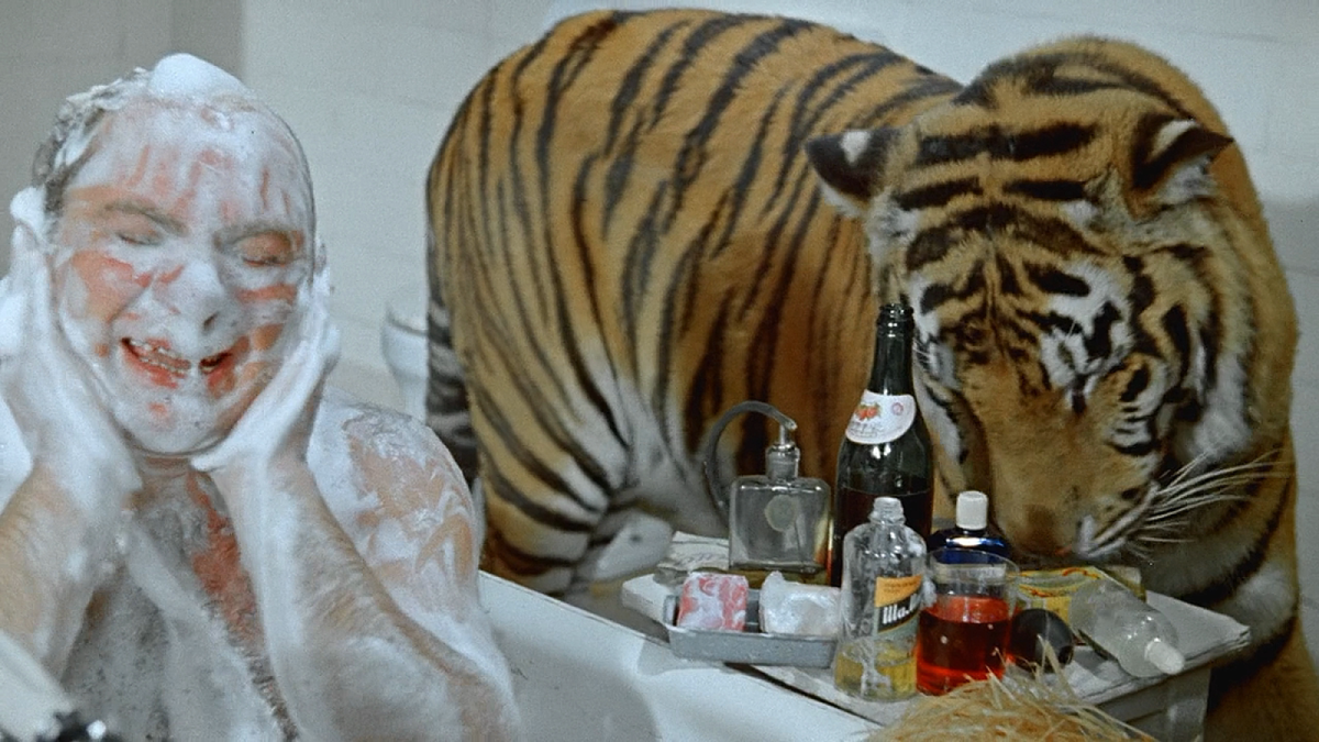 «Бери вилку и тыкай»: от деталей съемок Леонова с тиграми в «Полосатом рейсе» мороз по коже