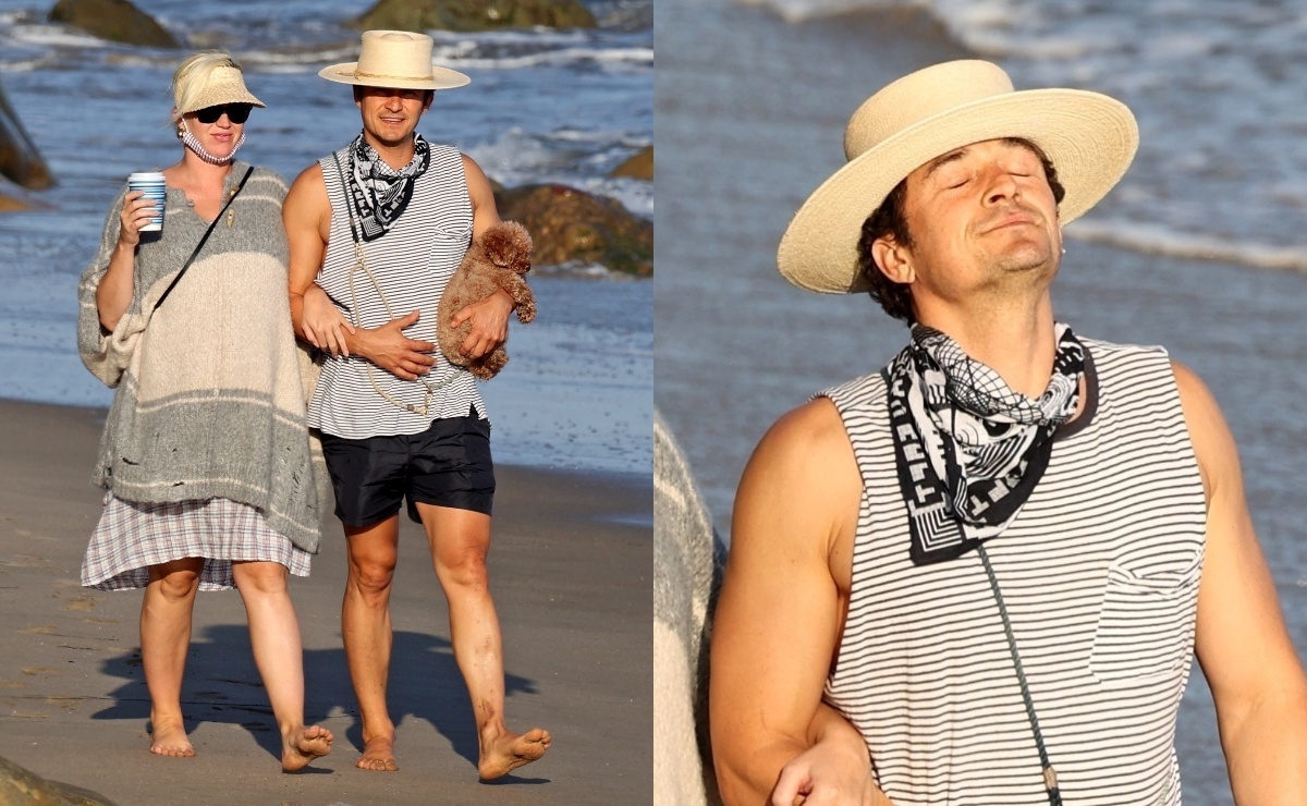 Фото: Орландо Блум и беременная Кэти Перри отдохнули на пляже с собаками