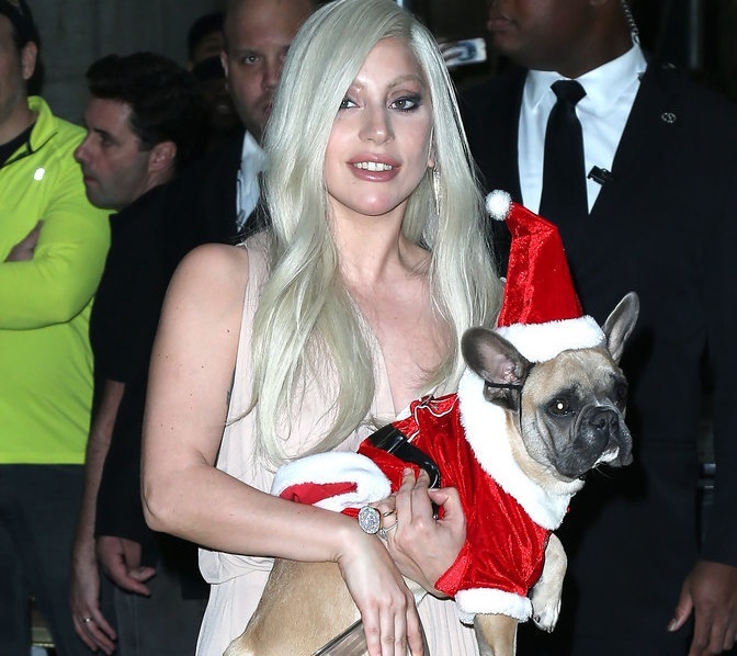 Фото: Леди Гага и Тейлор Кинни наряжают своих собак в костюмы Санта Клауса