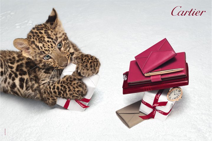 Рождественская рекламная кампания Cartier «Зимняя сказка»