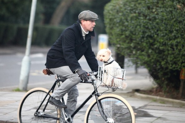 Юэн МакГрегор на прогулке с собакой