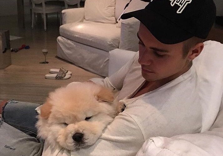 Джастин Бибер завел аккаунт в Instagram для своей собаки