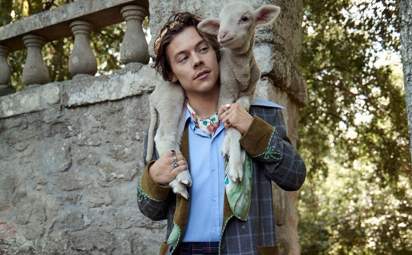 Гарри Стайлс и козлята снялись в рекламе круизной коллекции Gucci
