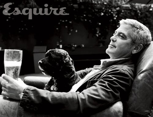Как Джорджу Клуни с помощью фрикаделек удалось понравиться псу из приюта