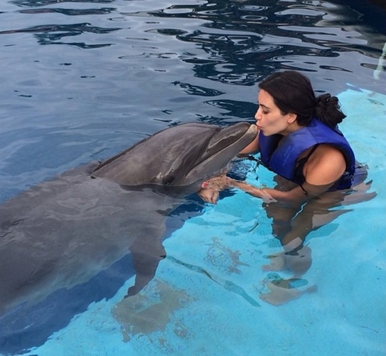 Видео: Ким Кардашян плавает с дельфинами