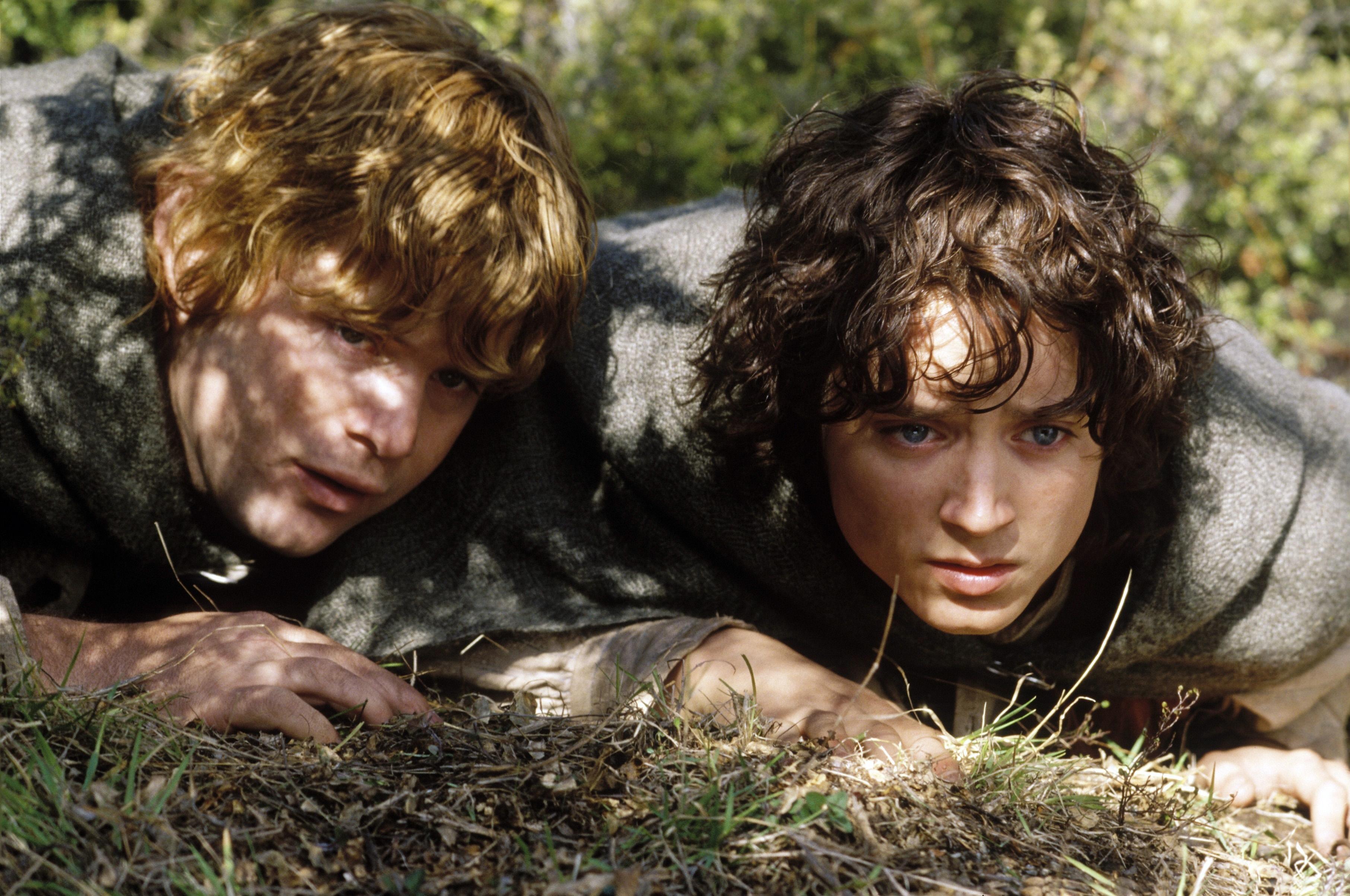 Властелин колец содержание. Фродо Бэггинс и Сэм. Хоббиты Фродо и Сэм. Элайджа Вуд Фродо.